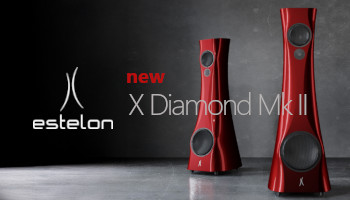estelon GXe Xs[J[ X Diamond Mk II i